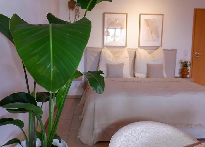 Casa Vasco - By Willms & Schoemer Eg Hotel